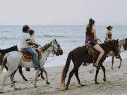 Ride Freely – Horseback Desert & Sea + Oriental Dinner in Hurghada