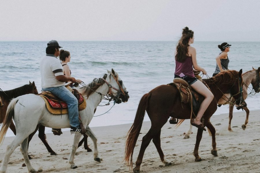 Ride Freely – Horseback Desert & Sea + Oriental Dinner in Hurghada