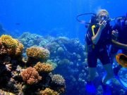 Diving in the Red Sea – Explore Two Unique Dive Sites in Hurghada