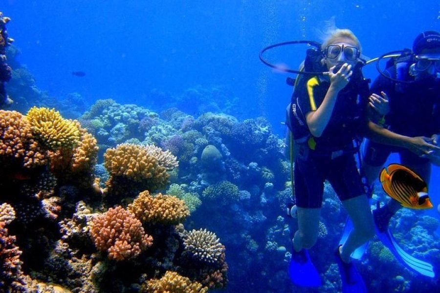 Diving in the Red Sea – Explore Two Unique Dive Sites in Hurghada